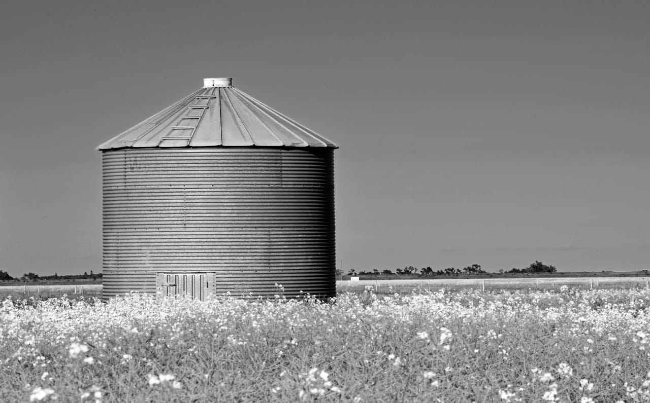 About A monochrome view of a silo amidst blooming prairie flowers in rural Canada.